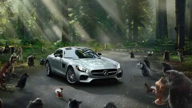 A Mercedes parked in the middle of a forest's wildlife to demonstrate the completion portion of the student development metaphor.